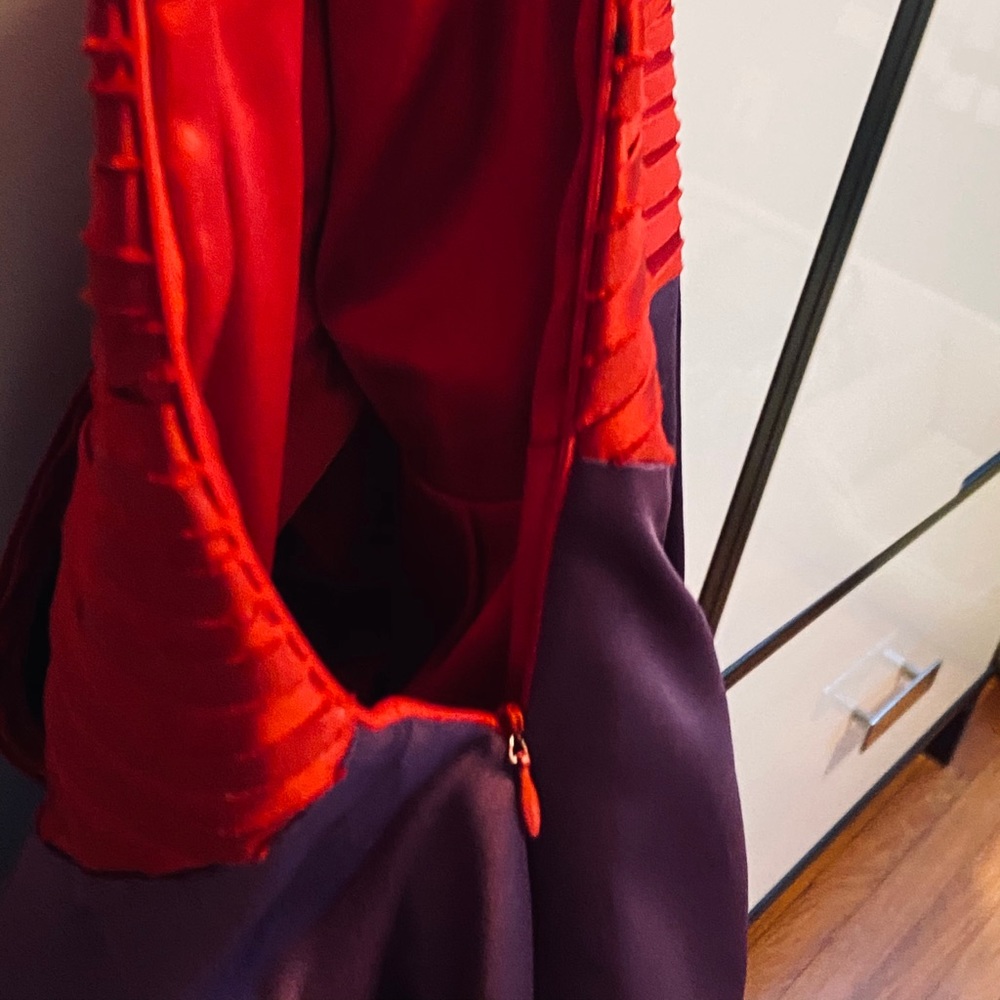 Festive Red & Purple A.B.S Dress For Holiday Cards - Picture 16 of 16